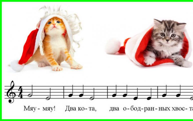 Рингтон мяу. Кот и Ноты. Котик Ноты. Два кота Ноты. Два кота для фортепиано.