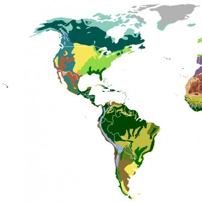 Human activities and its impact on the natural zone Economic activities in the Arctic