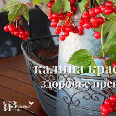 Recipe for red viburnum jelly Viburnum jelly without cooking with honey