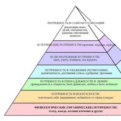 Philosophy: the problem of the relationship between the biological and the social in man