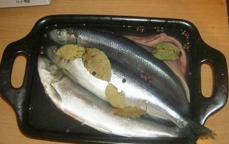 Lezzetli tuzlu ringa balığı.  Salamura için buna ihtiyacınız olacak.  Balıkları yağ ile salamurada tuzlayın