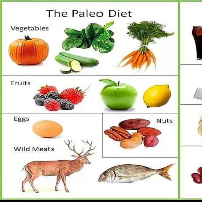 Native to the stone age or paleo diet